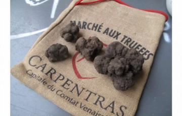 marche-aux-truffes-du-folklore-et-des-mysteres-1572795138-930x620