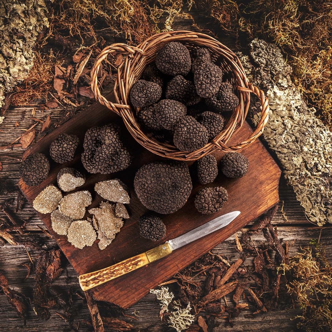 Top view of gorgeous black truffle first category luxury mushroom